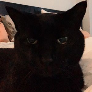 Meet your Posher, Genevieve